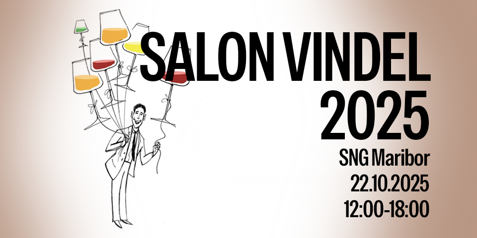 SALON VINDEL 2025